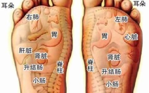 长期按摩脚底有什么好处