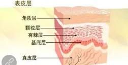 怎么样可以去黑头粉刺图1