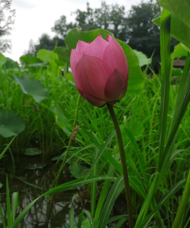 最近想投资做一款中药面膜，祛斑，美白，去黄，去痘印，有市场吗图1