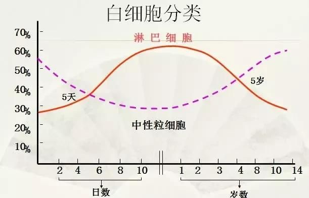 白细胞偏低的原因，白细胞数目低的原因是什么图4