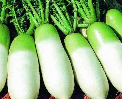 罗卜丝炒肉怎么做好吃又简单图1