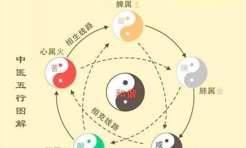 长期吃补肾药有什么危害图7