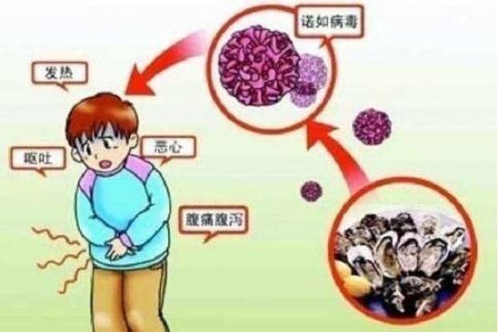 如何防范诺如病毒图1