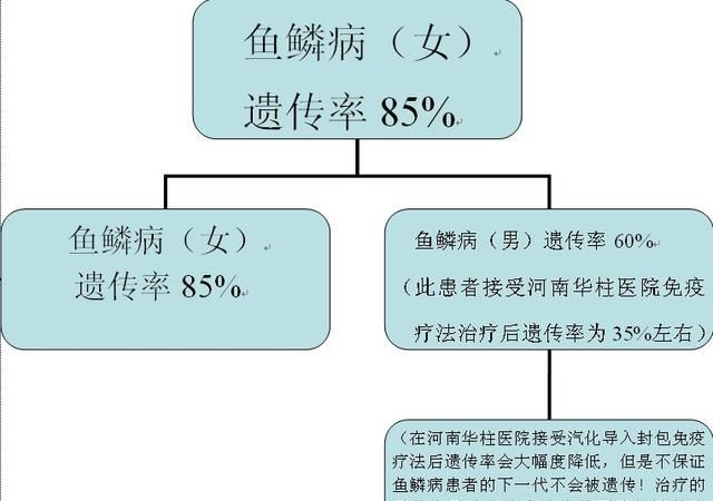 鱼鳞皮肤病图1