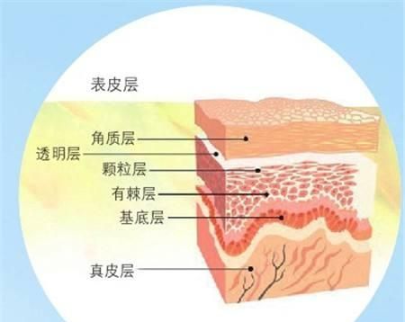 修复角质层的小妙招图1