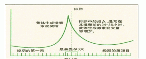 怎样才能排卵，怎样判断有无排卵 女性不排卵的症状有哪些图3