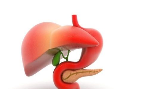 胰腺疼痛的位置在哪里