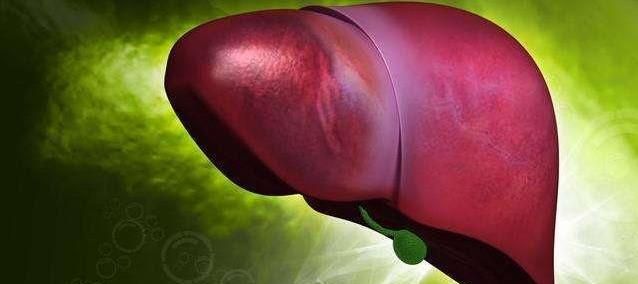 弥漫性肝病，肝脏弥漫性改变和病变图1