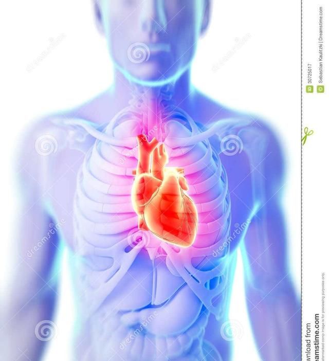 心脏出血漏洞，心脏外部出血的原因有哪些症状图3