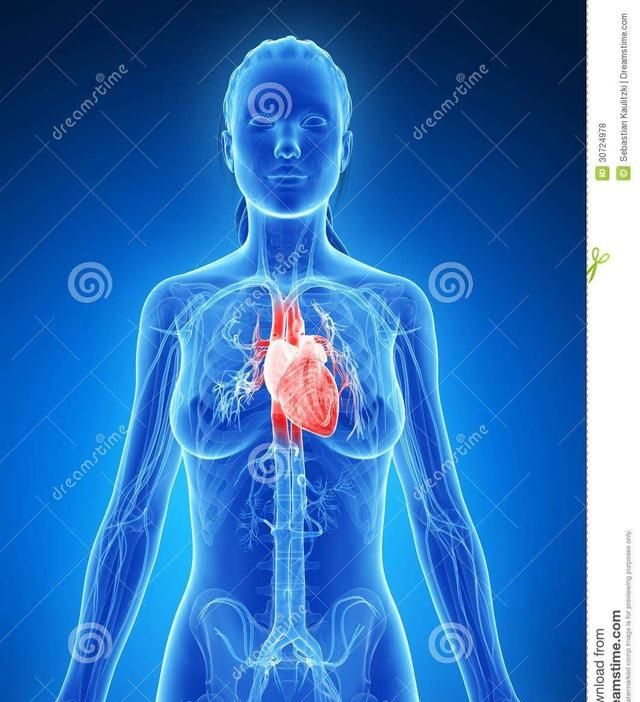 心脏出血漏洞，心脏外部出血的原因有哪些症状图4