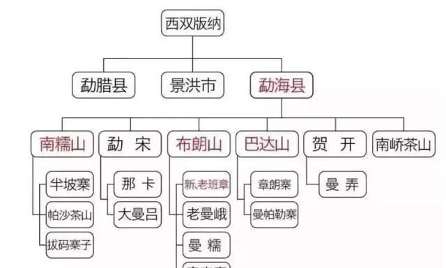 普洱茶的产地在哪，普洱茶哪个产地的最好喝图5