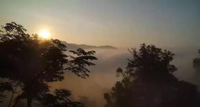 普洱茶的产地在哪，普洱茶哪个产地的最好喝图7