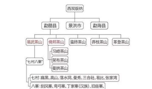 普洱茶的产地在哪，普洱茶哪个产地的最好喝图12