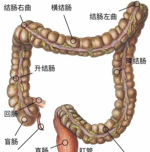 小肠癌的早期症状，肠癌早期有什么症状表现图2