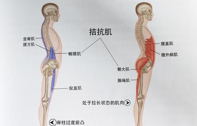 背部痛是什么原因图5