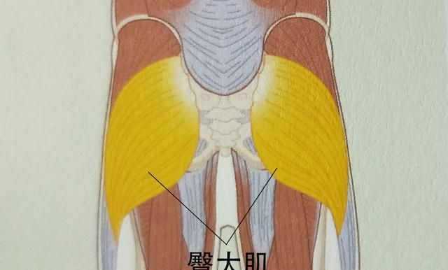 背部痛是什么原因图6