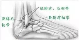 脚踝扭伤吃什么，脚踝惯性扭伤怎么治疗图2