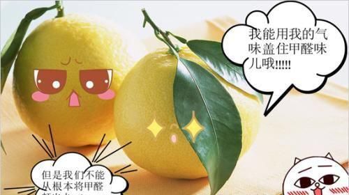地板甲醛超标怎么办，家里装修甲醛超标怎么办图1