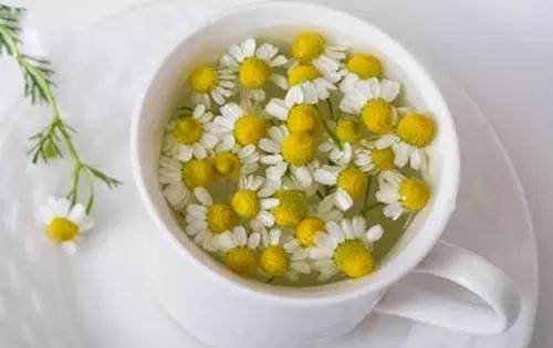 清热解毒茶，菊花茶能清热解毒吗图6