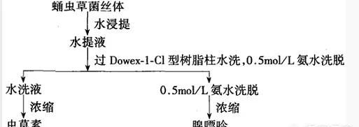 积雪草提取物，冬虫夏草提取物是用什么提取的呢图2