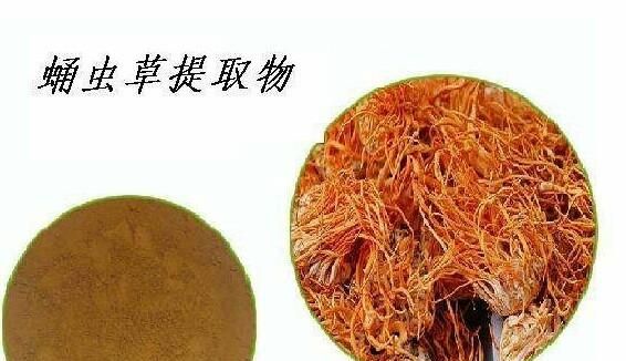 积雪草提取物，冬虫夏草提取物是用什么提取的呢图4