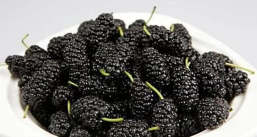 食用哪些食物可以抗衰老图5