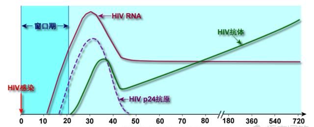 有人说艾滋病的潜伏期有二十年，这科学吗潜伏期和窗口期有什么区别图1