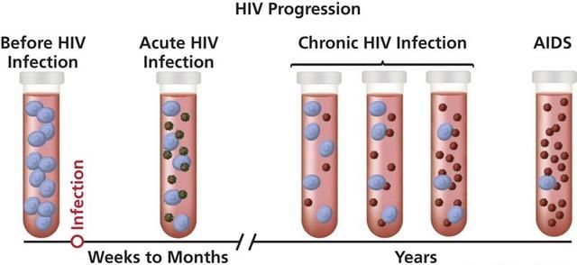 有人说艾滋病的潜伏期有二十年，这科学吗潜伏期和窗口期有什么区别图4
