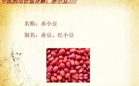 赤小豆有什么功效和作用