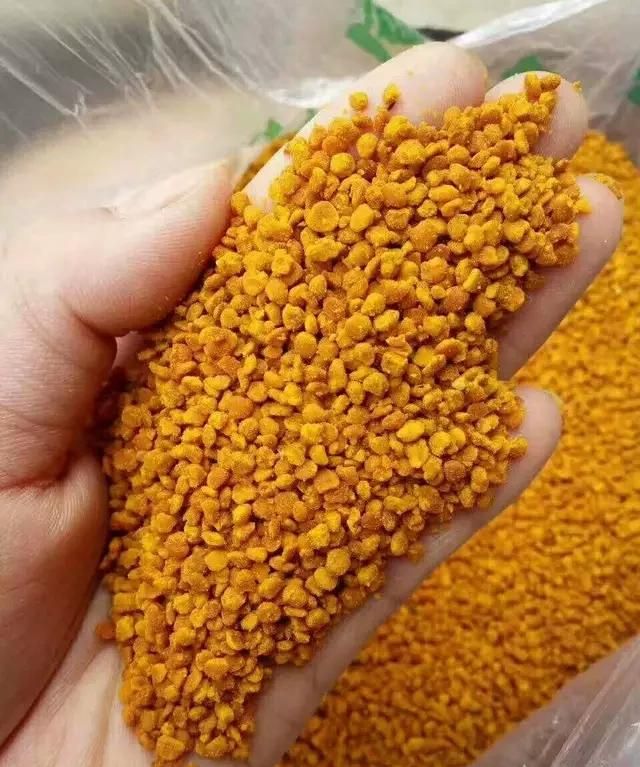 茶花粉和蜂花粉有什么区别图3