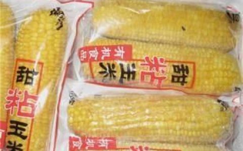 粘玉米速冻加工赚钱吗