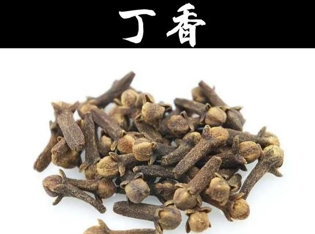 丁香茶的作用与功效，丁香茶的作用和功能主治是什么图1