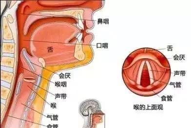 咽喉炎的症状，慢性咽喉炎异物感是什么感觉图3