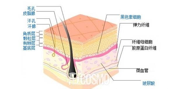 怎样去角质，应该怎么去角质图1