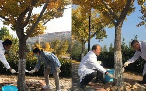 为什么给树下面涂白色