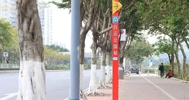 为什么给树下面涂白色图3