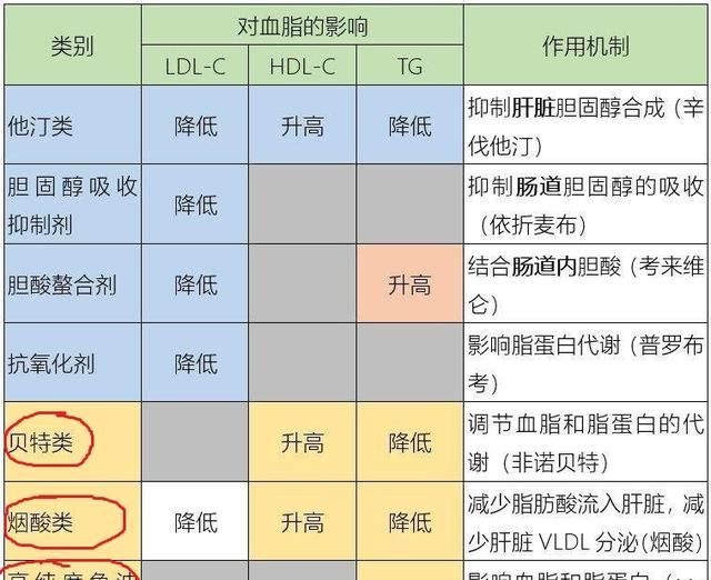 甘油三脂3.4严重吗,要注意什么图5