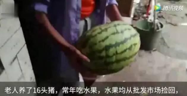 晚餐只吃水果能减肥吗，晚饭只吃水果可以瘦身吗女生图1
