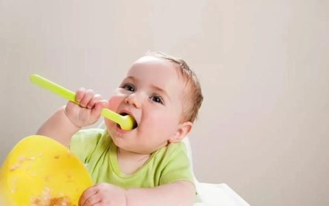 辅食分阶喂养手册