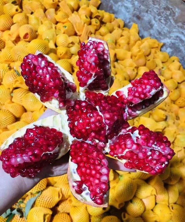 吃石榴吐籽吗，吃石榴不吐籽有什么好处图2