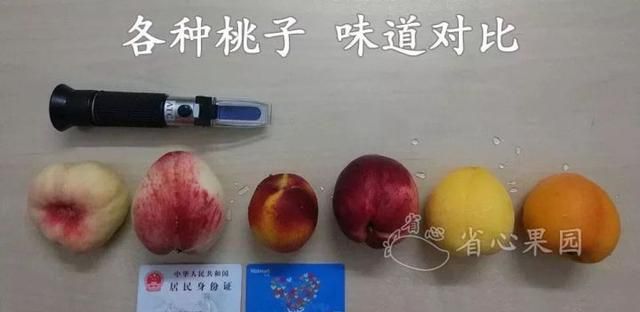 吃石榴吐籽吗，吃石榴不吐籽有什么好处图12