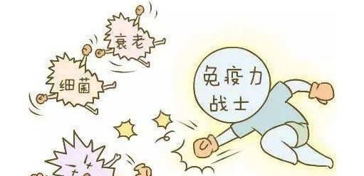 枸杞叶茶，枸杞叶泡水喝有什么功效呢百度百科图3