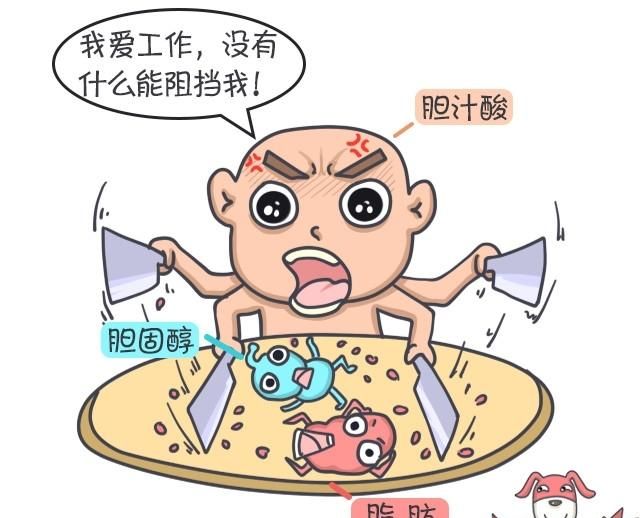 膳食纤维片，膳食纤维的功效及应用是什么?图4