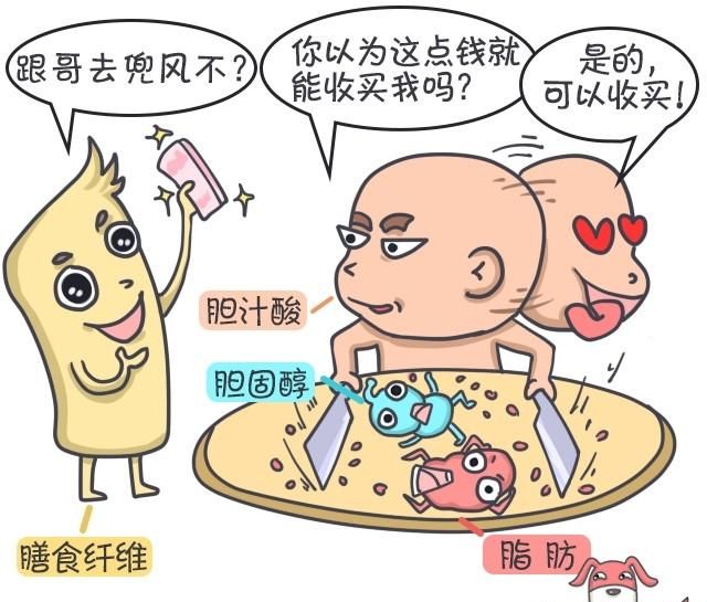 膳食纤维片，膳食纤维的功效及应用是什么?图5