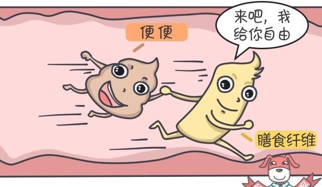 膳食纤维片，膳食纤维的功效及应用是什么?图10