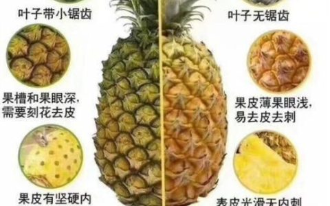 吃凤梨的禁忌需要泡盐水么