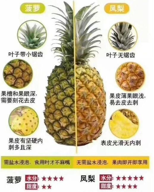 吃凤梨的禁忌需要泡盐水么图1