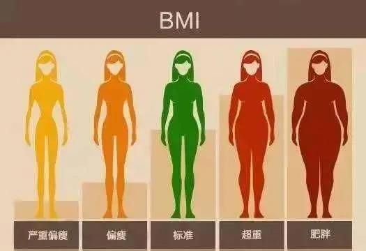 室内无器材减肥运动图3