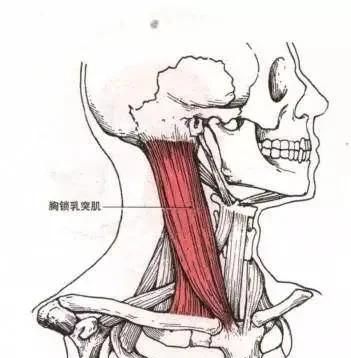 男士减肥计划，男士除了减肥还有什么方法瘦脸呢图9