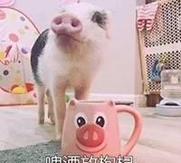 什么是抗氧化，什么叫抗氧化作用图19
